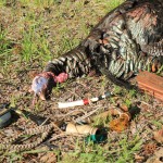 Using a variety of calls brought this Gobbler to the gun